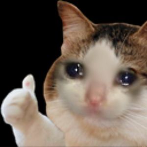 Meet your Posher, Gilbert